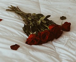 Roses on bed : Implying what we bluff ourselves to be for the other, yet neither considering the unnoticed thorny side, until it's too late!